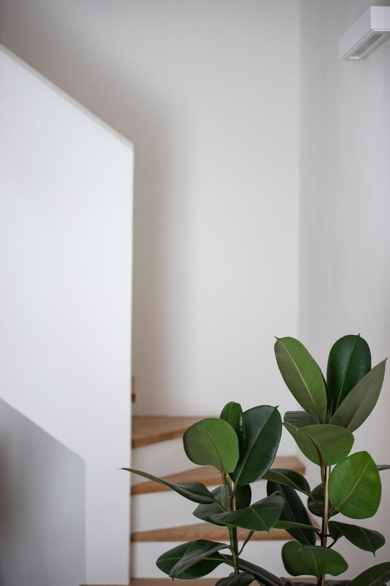 Santo Stefano Loft Aparthotel Bologna Buitenkant foto